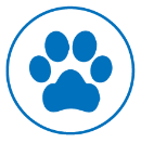 pet2