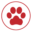 pet3